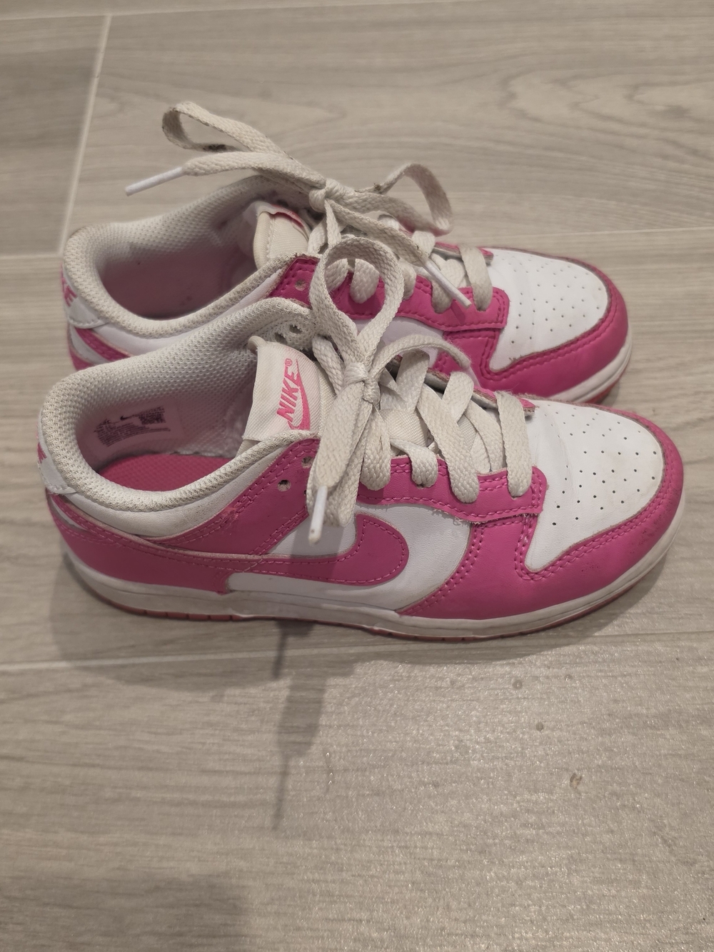 Nike Kids Dunk Low Top Sneakers